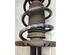 Suspension Strut SKODA E-CITIGO (NE1), SKODA CITIGO (NF1)