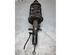 Suspension Strut FORD FOCUS III Turnier