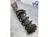 Suspension Strut MERCEDES-BENZ CITAN Box Body/MPV (W415)