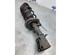 Suspension Strut MERCEDES-BENZ CITAN Box Body/MPV (W415)