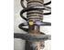 Suspension Strut CITROËN C3 PICASSO (SH_)