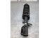 Suspension Strut NISSAN MICRA V (K14)