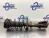 Suspension Strut RENAULT KANGOO Express (FW0/1_)