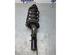 Suspension Strut FORD FOCUS III Turnier