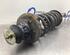 Suspension Strut VW GOLF IV Cabriolet (1E7)