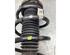 Suspension Strut KIA NIRO II (SG2), KIA NIRO I (DE)