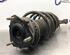 Suspension Strut MAZDA 2 (DY)