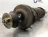 Suspension Strut VW GOLF IV Cabriolet (1E7)