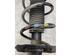 Suspension Strut RENAULT CAPTUR II (HF_)