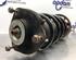 Suspension Strut VW GOLF VI (5K1), VW GOLF VI Van (5K1_)