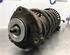 
Federbein links vorne Skoda Roomster 5J 6Q0413031BL P21641764
