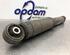 Shock Absorber FIAT PANDA (169_)