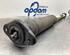 Shock Absorber NISSAN MICRA V (K14)