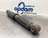 Shock Absorber FORD KA (RU8)