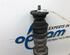 Shock Absorber RENAULT CLIO III (BR0/1, CR0/1), RENAULT CLIO II (BB_, CB_)