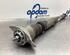 Shock Absorber SEAT IBIZA IV (6J5, 6P1), SEAT IBIZA IV SC (6J1, 6P5)