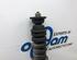 Shock Absorber RENAULT CLIO III (BR0/1, CR0/1), RENAULT CLIO II (BB_, CB_)