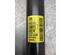 Shock Absorber OPEL MOKKA / MOKKA X (J13)