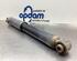 Shock Absorber NISSAN QASHQAI / QASHQAI +2 I (J10, NJ10, JJ10E)