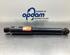 Shock Absorber FIAT PUNTO (188_), FIAT PUNTO Hatchback Van (188_)