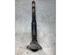 Shock Absorber AUDI A5 Sportback (8TA), AUDI A4 Avant (8K5, B8)