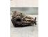 Rear Axle Gearbox / Differential MERCEDES-BENZ C-CLASS (W203)