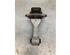 Manual Transmission Mount HYUNDAI i30 (PDE, PD, PDEN), HYUNDAI i30 FASTBACK (PDE, PDEN)