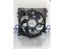 Interior Blower Motor RENAULT CLIO III (BR0/1, CR0/1), RENAULT CLIO IV (BH_)