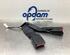 Seat Belt Buckle NISSAN QASHQAI / QASHQAI +2 I (J10, NJ10, JJ10E)