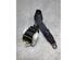 Safety Belts FORD FOCUS II (DA_, HCP, DP)