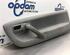 Door Card (Door Panel) SEAT AROSA (6H)