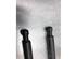 Gas Spring PEUGEOT 206 Hatchback (2A/C), PEUGEOT 206 SW (2E/K), PEUGEOT 206 Saloon