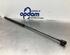 Gas Spring AUDI A6 (4F2, C6)