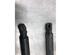 Gas Spring RENAULT MEGANE II Estate (KM0/1_)