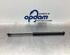 Gas Spring VW TOURAN (1T1, 1T2), VW TOURAN (1T3), VW TOURAN VAN (1T1, 1T2)