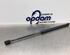 Bootlid (Tailgate) Gas Strut Spring OPEL CORSA C (X01)