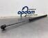 Bootlid (Tailgate) Gas Strut Spring OPEL ZAFIRA A MPV (T98)