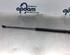 Bootlid (Tailgate) Gas Strut Spring CITROËN C4 I (LC_), CITROËN C4 Coupe (LA_)