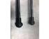 Bootlid (Tailgate) Gas Strut Spring SEAT IBIZA IV (6J5, 6P1), SEAT IBIZA IV SC (6J1, 6P5), SEAT IBIZA IV ST (6J8, 6P8)