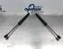 Bootlid (Tailgate) Gas Strut Spring OPEL CROSSLAND X / CROSSLAND (P17, P2QO)