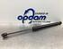 Gasveer kofferruimte OPEL CROSSLAND X / CROSSLAND (P17, P2QO)