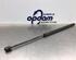 Bootlid (Tailgate) Gas Strut Spring OPEL ZAFIRA A MPV (T98)