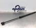 Bootlid (Tailgate) Gas Strut Spring OPEL MERIVA A MPV (X03)