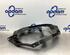 Headlight Base SMART FORFOUR (454)