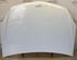 
Motorhaube Opel Astra H Caravan  000000 P12060128
