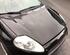 Bonnet FIAT GRANDE PUNTO (199_), FIAT PUNTO EVO (199_), FIAT PUNTO (199_), ABARTH GRANDE PUNTO