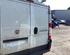 Achterportier FIAT DUCATO Van (250_, 290_), FIAT DUCATO Bus (250_, 290_)