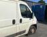 Door FIAT DUCATO Van (250_, 290_), FIAT DUCATO Bus (250_, 290_)