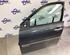 Door RENAULT MEGANE II (BM0/1_, CM0/1_), RENAULT MEGANE II Saloon (LM0/1_)