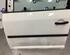 Door VW CADDY III Box Body/MPV (2KA, 2KH, 2CA, 2CH)